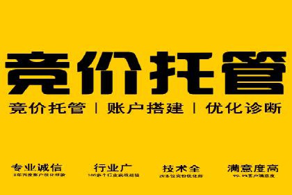 百度竞价托管外包案例：打造行业领军品牌